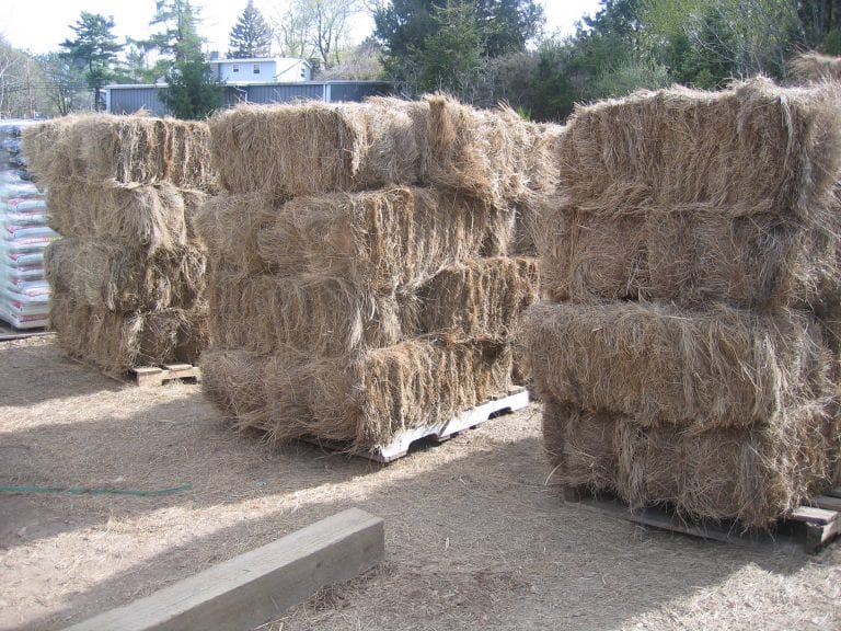 Salt Marsh Hay Bales Pleasant View Nurseries
